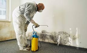 Best Mold Remediation for Vacation Homes  in Trenton, IL