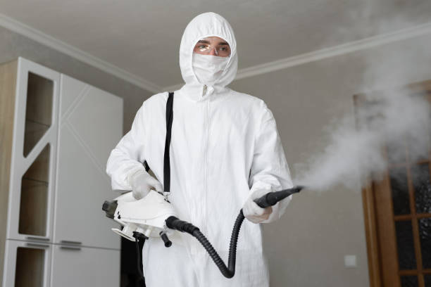 Best Attic Mold Removal  in Trenton, IL