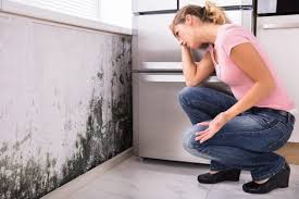 Best Residential Mold Inspection & Testing  in Trenton, IL